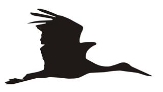 320x180 Crane Bird Silhouette Decal Sticker