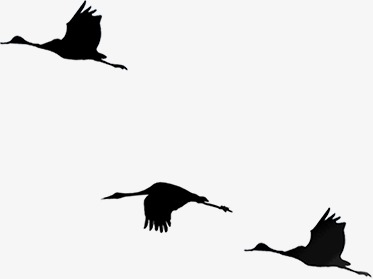 373x279 Chinese Style Flat Silhouette Crane Geese Pattern, Chinese Style