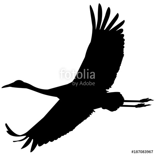 500x500 Whooping Crane Silhouette Vector Graphics Stock Image And Royalty