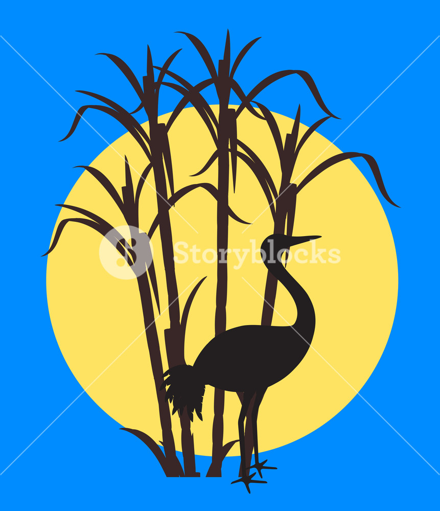 861x1000 Grateful Crane Silhouette In Moonlight Vector Illustration Royalty