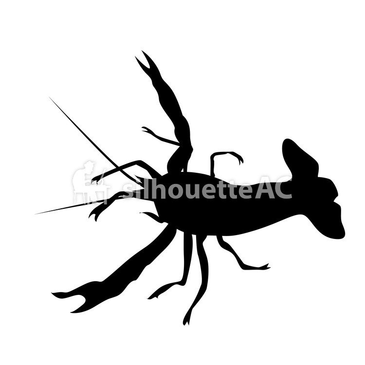 750x750 Free Silhouette Vector An Illustration