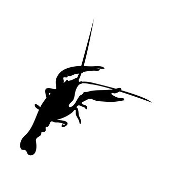 339x340 Free Silhouette Vector Protein, Icon