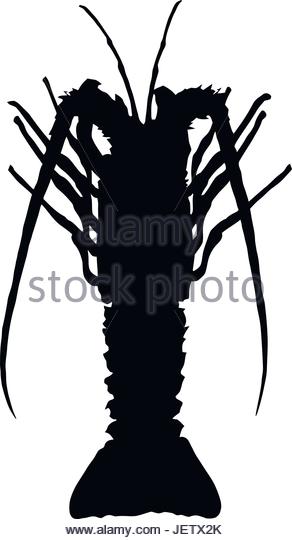 292x540 Crawfish Stock Vector Images