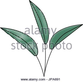 322x320 White Background With Colored Crayon Silhouette Of Paint Brush