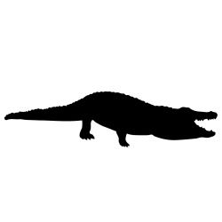 Crocodile Outline Drawing at GetDrawings | Free download