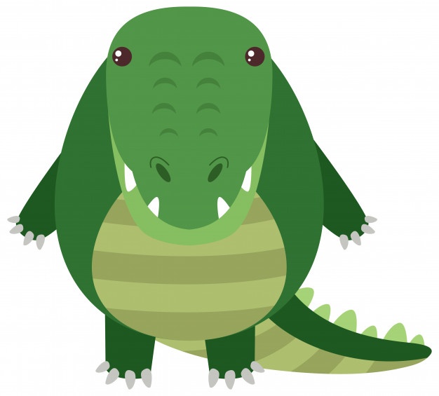 626x565 Crocodile Vectors, Photos And Psd Files Free Download