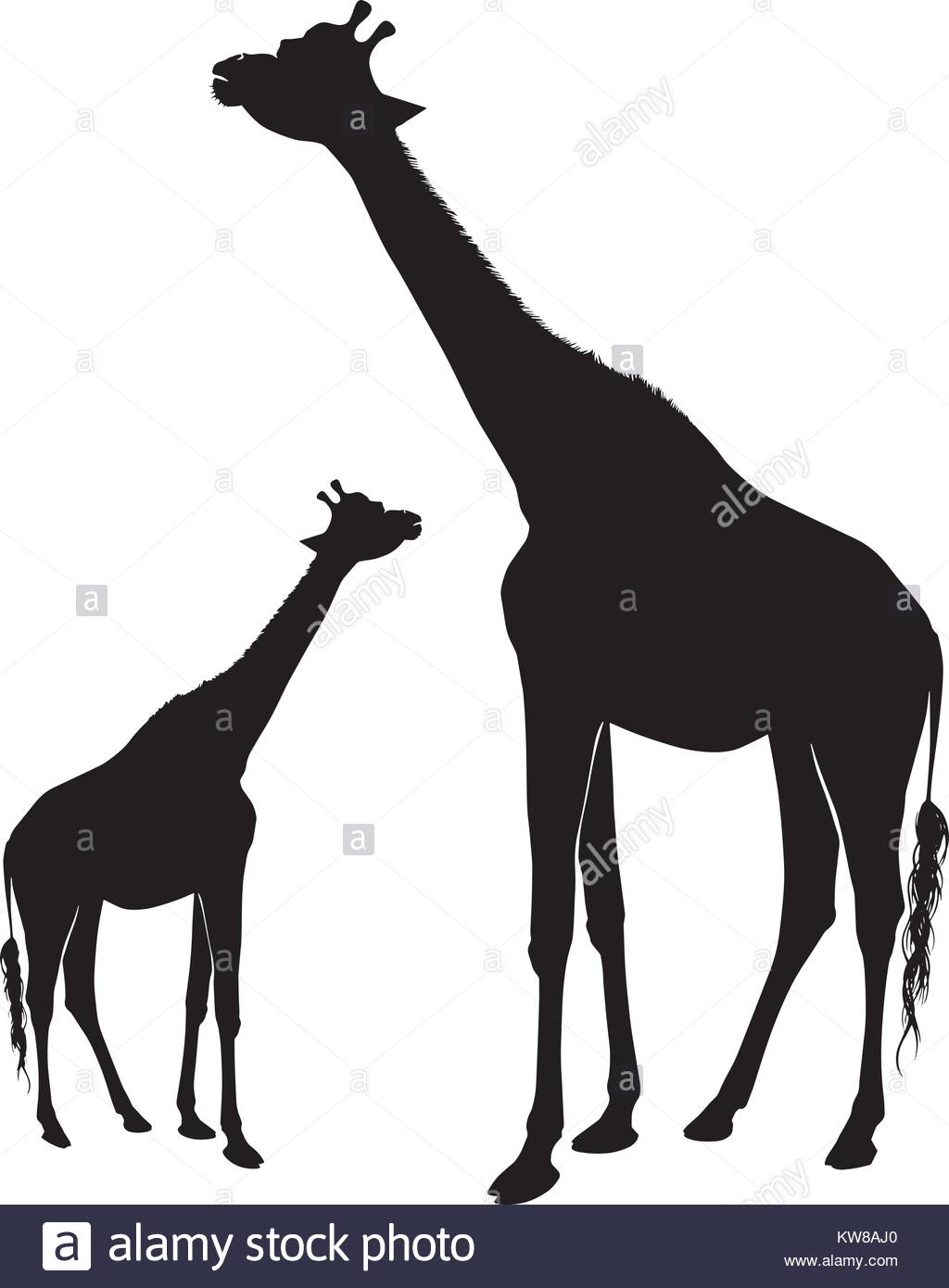 1024x1390 Abstract Vector Illustration Crocodile Silhouette Stock Photos