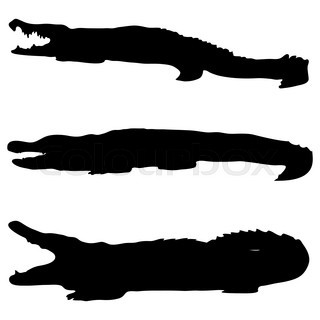 320x320 Set Of Crocodile Silhouettes On White, Vector Object Stock