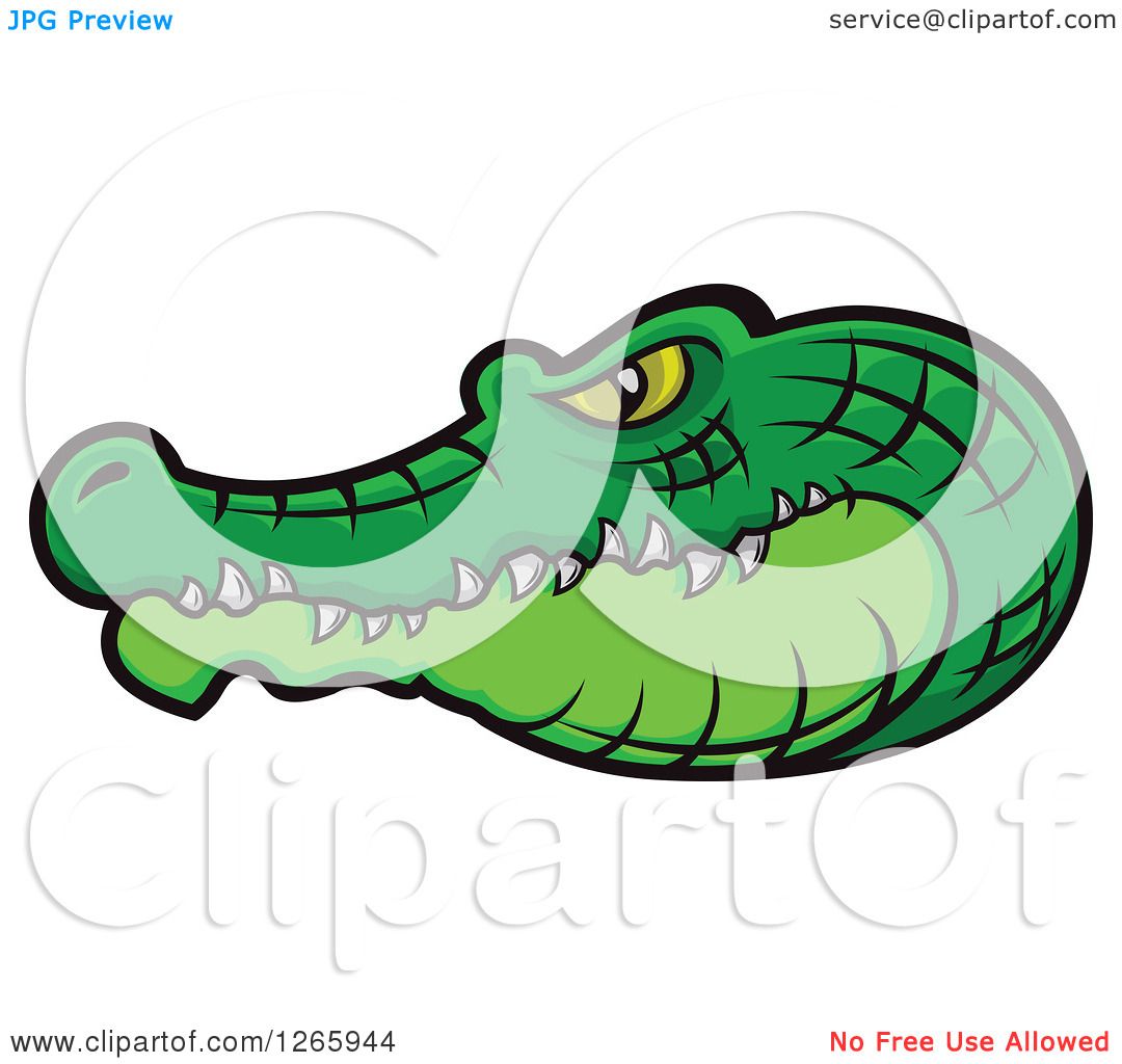 1080x1024 Clipart Of A Green Crocodile Head In Profile