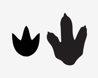 340x270 Crocodile Clipart Footprint Pencil And In Color Alligator