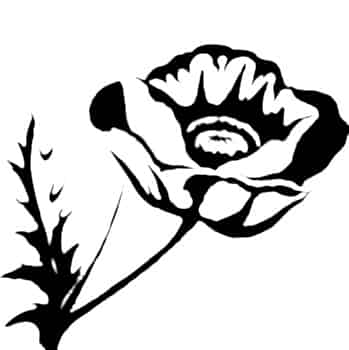 349x350 Stock Vector Poppy Flower Silhouette Crop Organical Botanicals