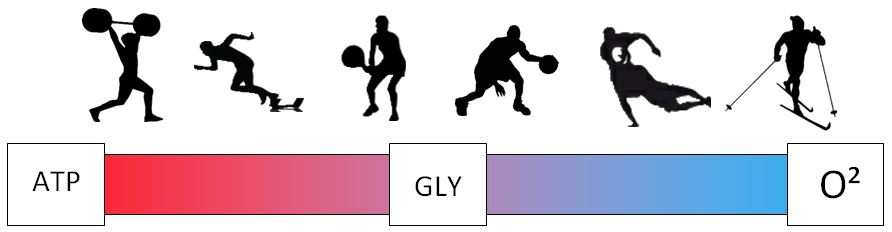 892x232 Crossfit Agoura Hills, Oak Park, Calabasas, Thousand Oaks