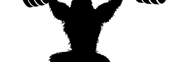 600x200 1984 Travis Roof Design