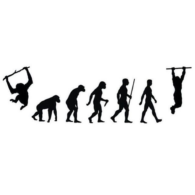 640x640 The Evolutionary Process Of A Bar Athlete.
