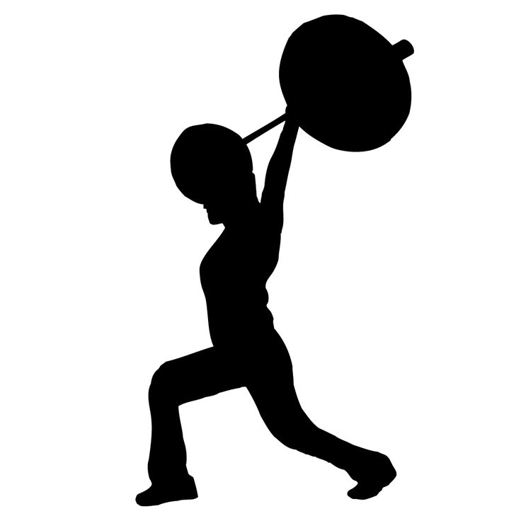 736x736 261 Best Silhouettes Images On Silhouette, Rabbit