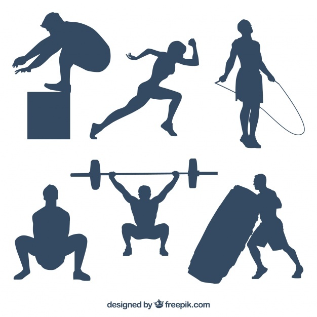 626x626 Crossfit Vectors, Photos And Psd Files Free Download