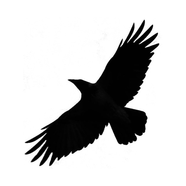 Crow Bird Silhouette at GetDrawings | Free download