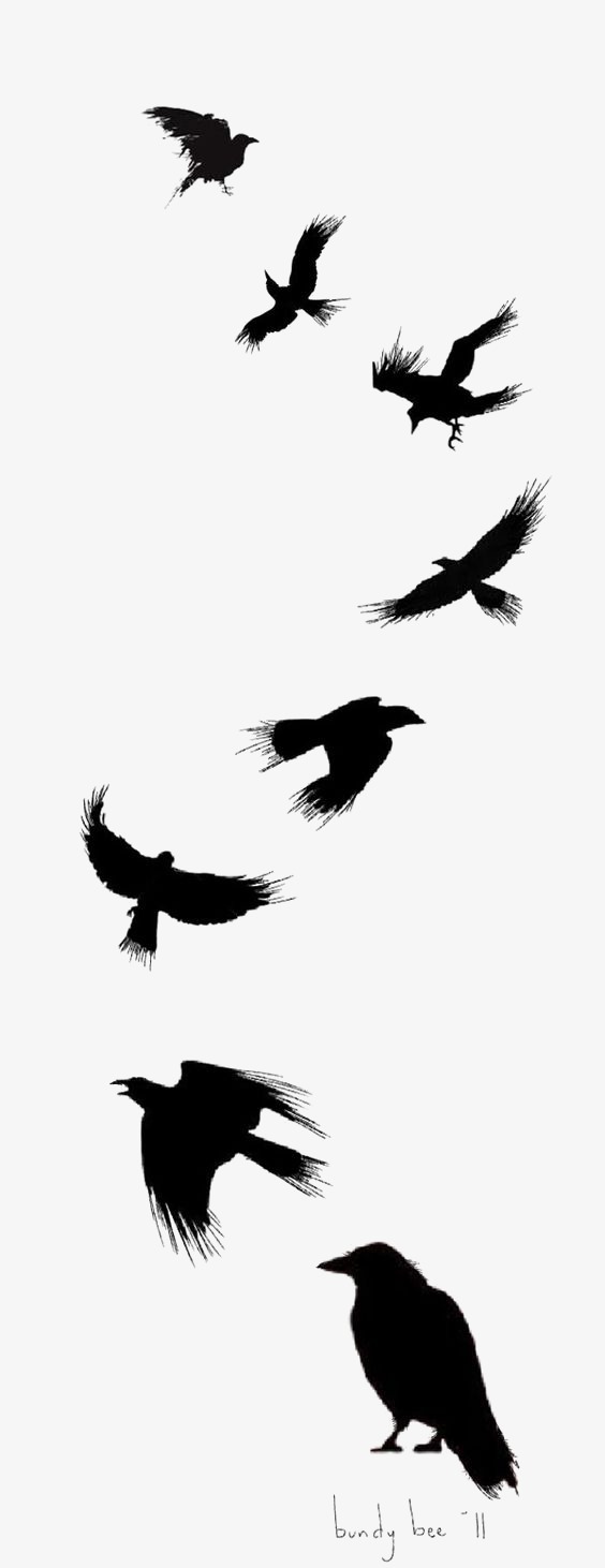564x1462 Ink Crow, Silhouette Crow, Animal, Birds Png Image And Clipart