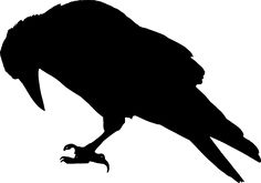 236x165 Crow Silhouette Shadow Puppet Birds