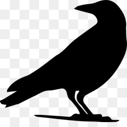 260x260 American Crow Drawing Eating Crow (Feat. Grewsum)