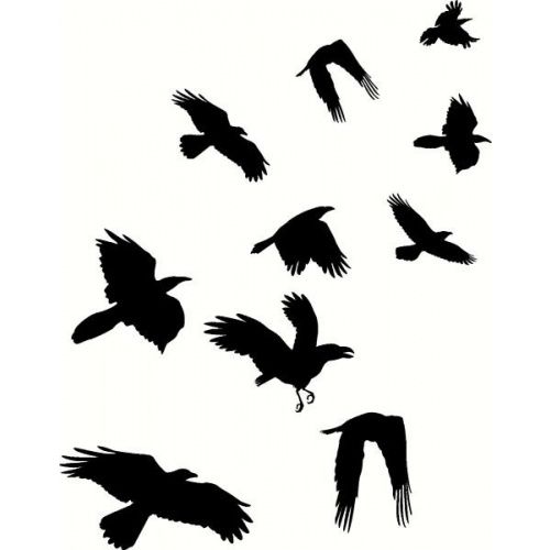 500x500 Crows Flying