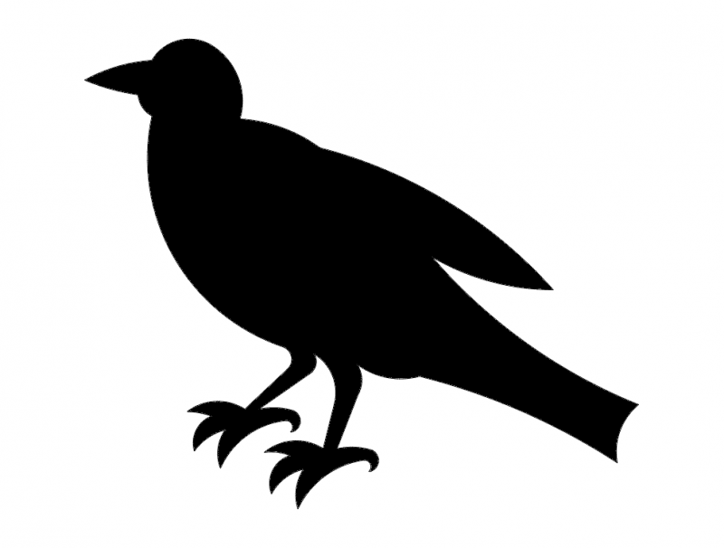 800x606 Crow Silhouette Dxf File Free Download