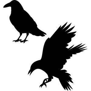 300x300 Silhouette Design Store