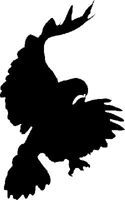 250x400 Silhouette, Cartoon, Eagle, Bird, Crow, Flying, Falcon