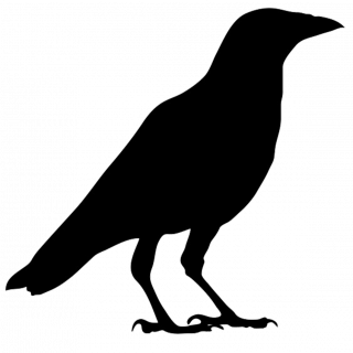 320x320 Tag For Flying Bird Png Image Flag Of Queensland Wikipedia. 40