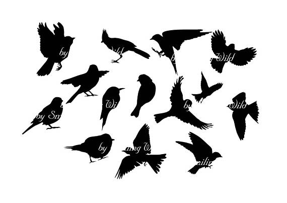 570x403 Flying Bird Svg Clipart Silhouette Songbirds Silhouettes