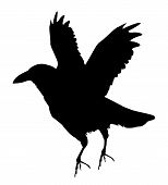 154x170 Scary Crow Silhouette Clipart
