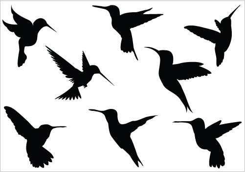 501x352 Silhouette Clipart Hummingbird