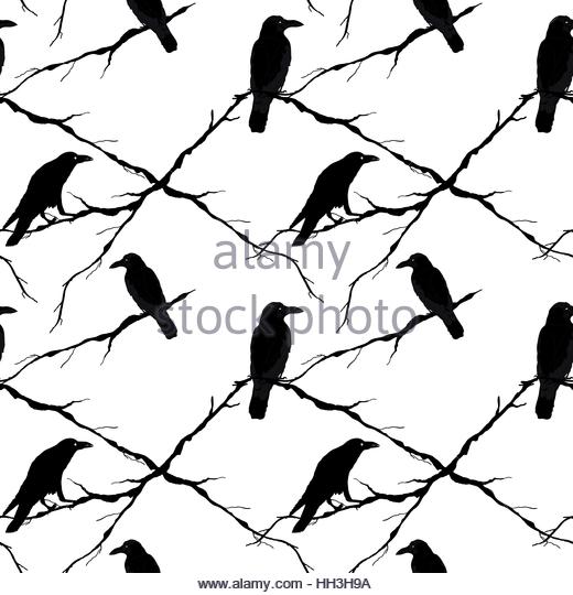 520x540 Crow In Flight Cut Out Stock Images Amp Pictures