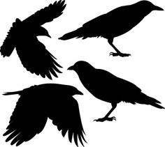 236x211 Raven Stencil Crow Clip Art