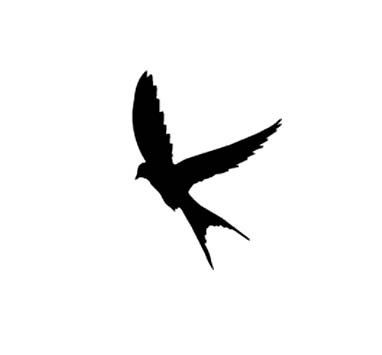 382x355 Silhouette Swallow In Flight Rubber Stamp Small By Terbearco