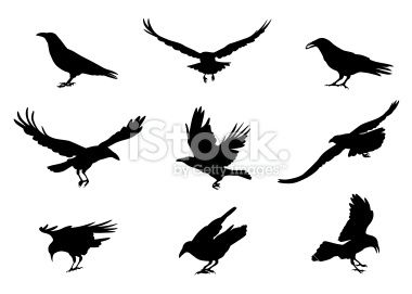 380x271 Crow Outline Tattoo Outline Of Crow Could Be My New Tattoo