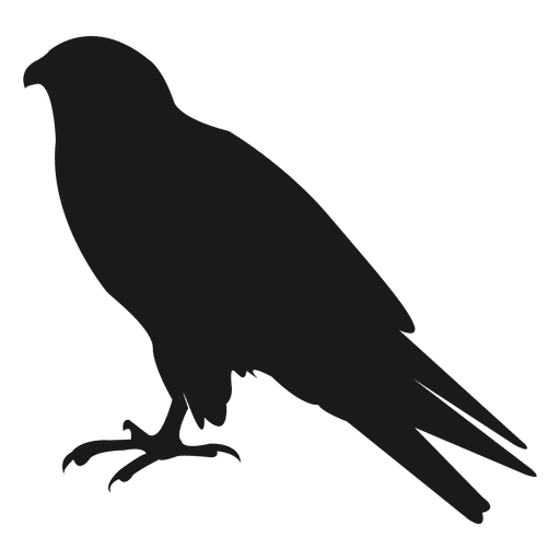 512x512 Crow Silhouette
