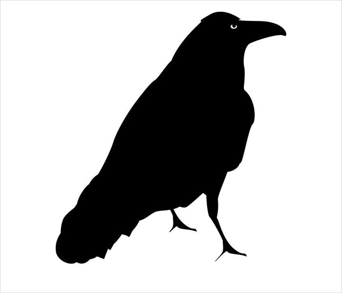 700x600 9 Crow Silhouette Designs
