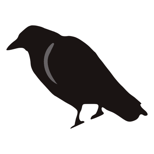 512x512 Silhouette Vector Crow