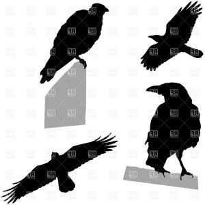 300x300 Crow Raven Flying Vector Silhouette Image Lazttweet