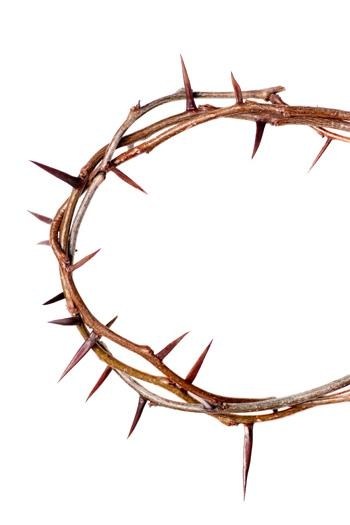 350x525 Crown Of Thorns Pictures Free Allofpicts