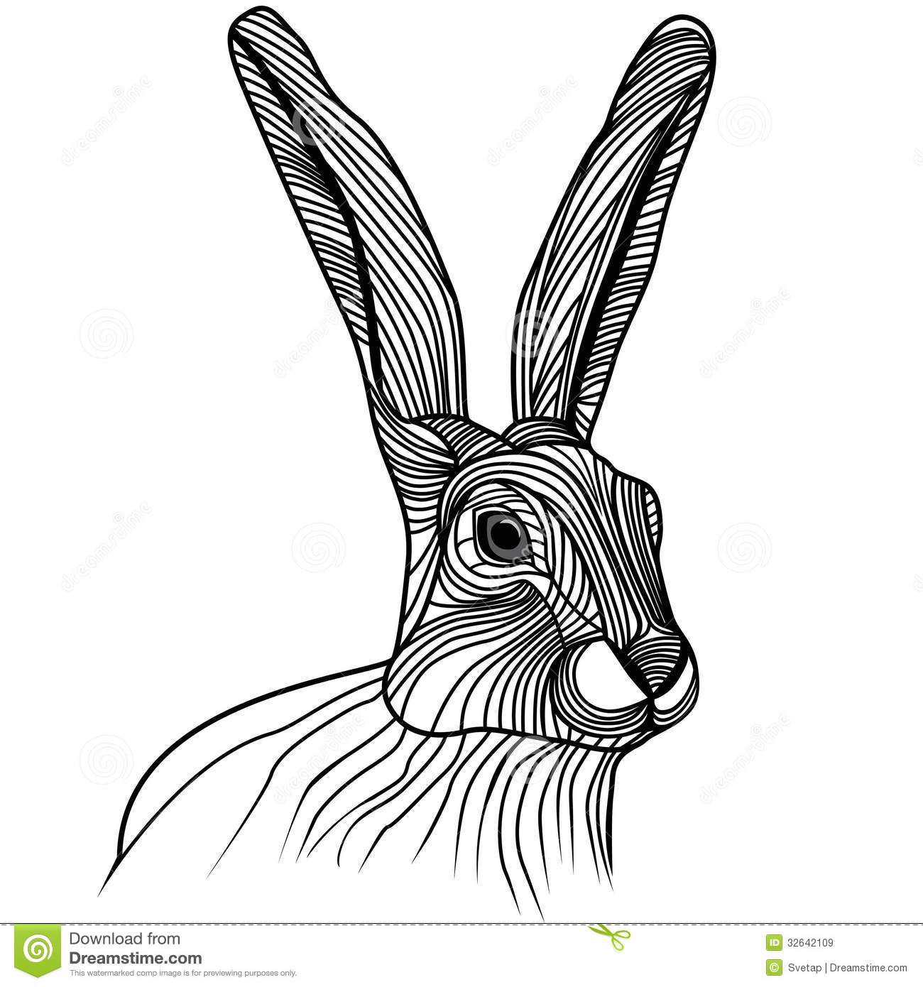 1300x1390 Top 97 Jackrabbit Clip Art
