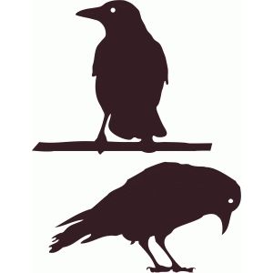 300x300 Crows Silhouette Design, Crows And Silhouettes