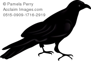 300x203 Black Crow Silhouette Royalty Free Clip Art Picture