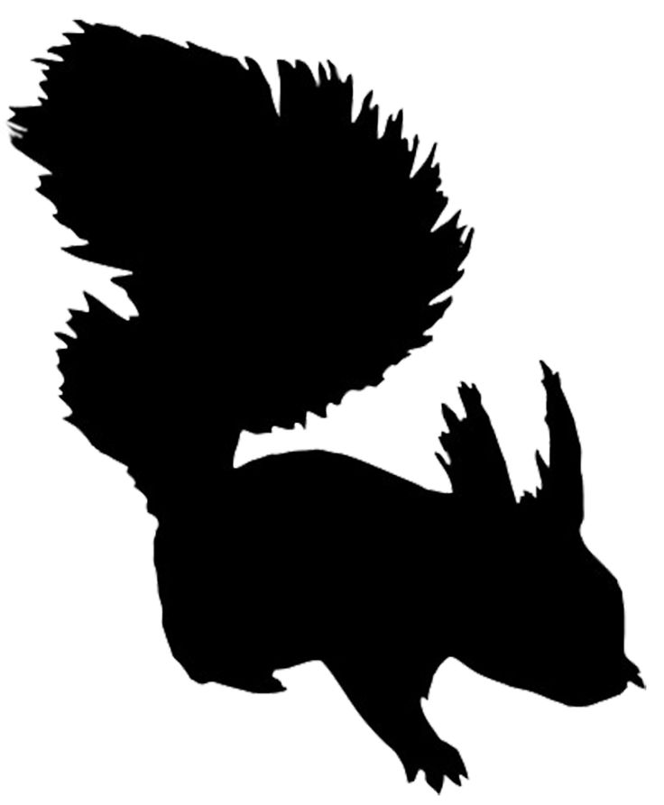 736x893 26 Best Woodland Animal Silhouette Images