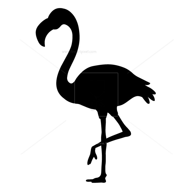 650x650 Flamingo Silhouette Stock Images Free Vectors, Illustrations