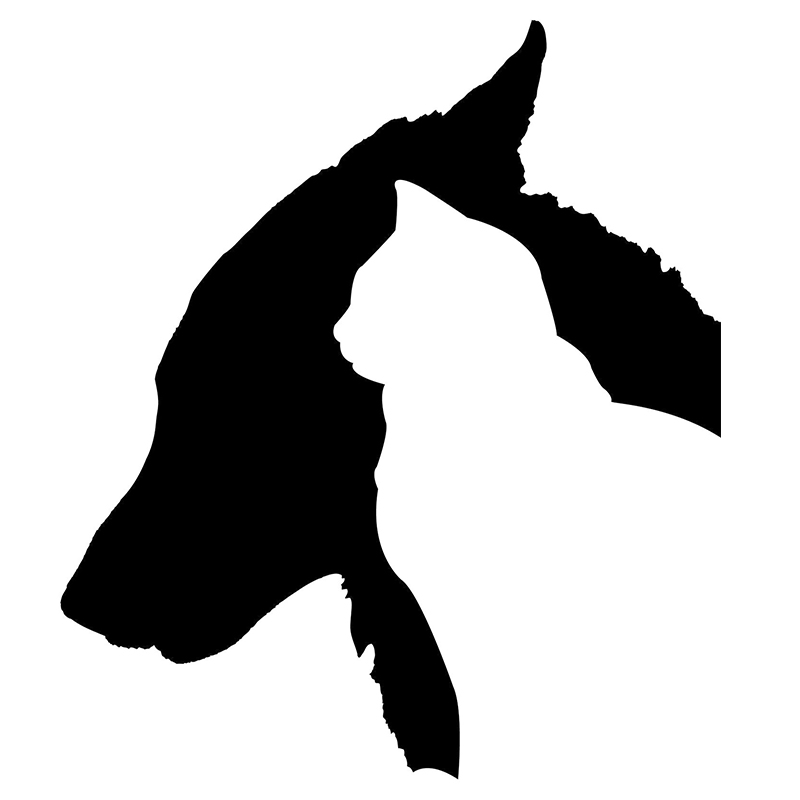 800x800 And Cat Silhouette Sticker