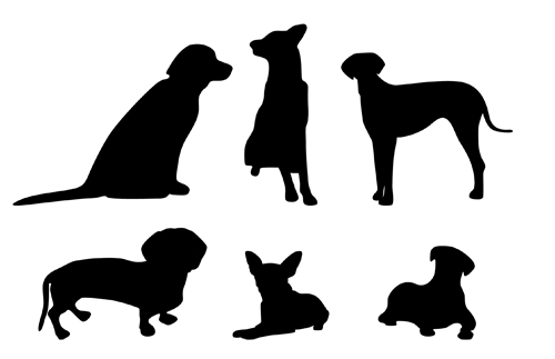 500x323 30 Free Animals Vectors