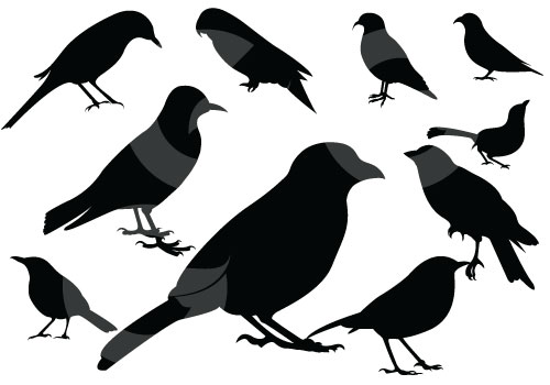 500x350 Cute Bird Silhouette Vector Graphics