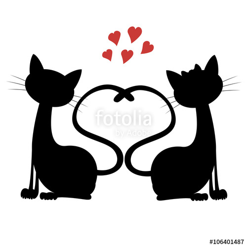 500x500 Cute Cats